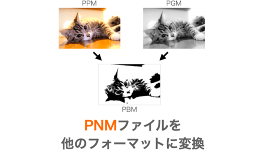 【C言語/画像処理】PPM・PGM・PBMの相互変換プログラム【ライブラリ不要】