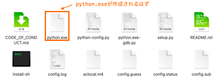 python.exeが作成される様子