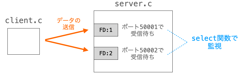 client.cのプログラムがserver.cのプログラムによって監視されているFD(ポート)にデータを送信する様子
