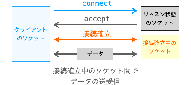 connect後の各種ソケットの様子