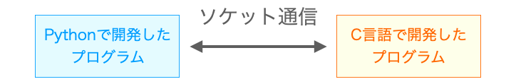 Pythonで開発したプログラムとC言語で開発したプログラムとの間でのソケット通信が可能であることを示す図